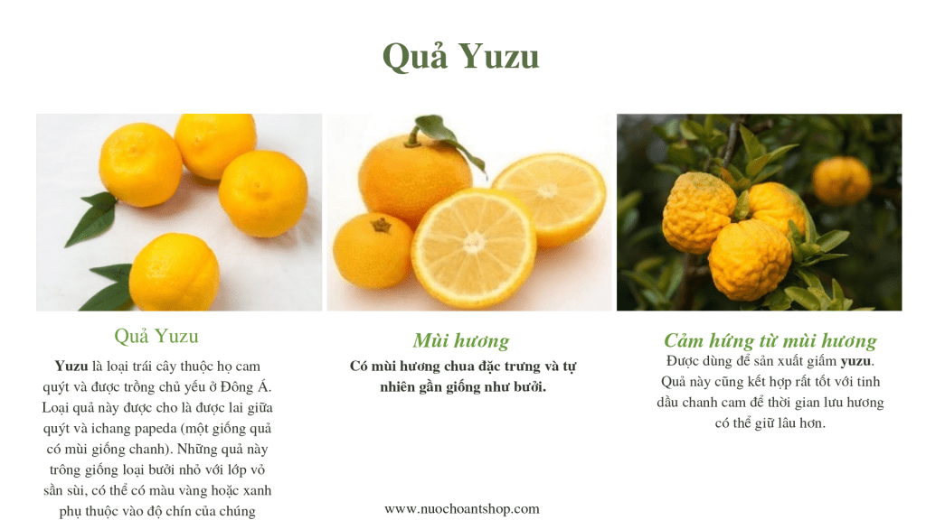 Hương của quả Yuzu
