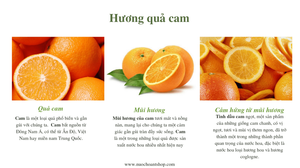 Hương quả cam